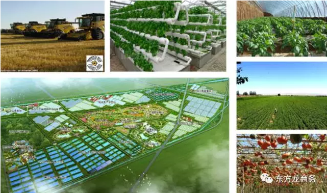 东方龙商务与河南遂平县达成委托招商引资合作，助力打造生态开放新城