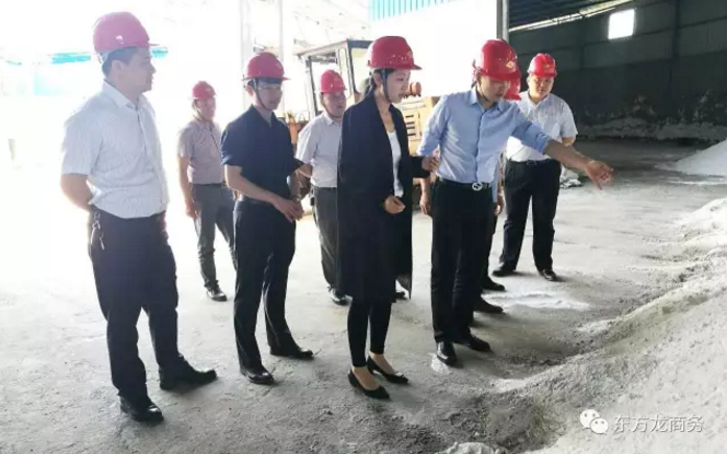 东方龙商务应邀考察江西萍乡市湘东区,共商产业引导基金合作 东方龙商务应邀考察江西萍乡市湘东区,共商产业引导基金合作