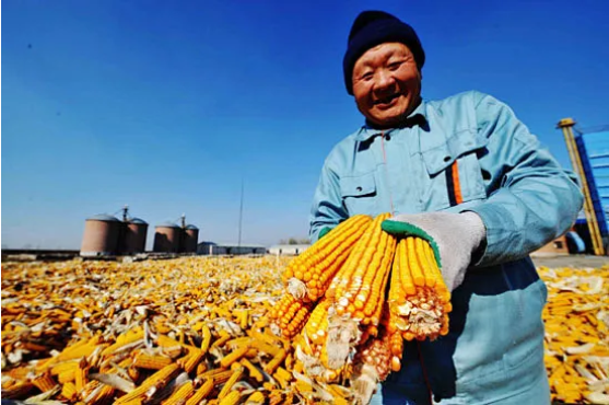 集团全力助推黑龙江省委托招商引资，以农业高质量发展助推乡村振兴