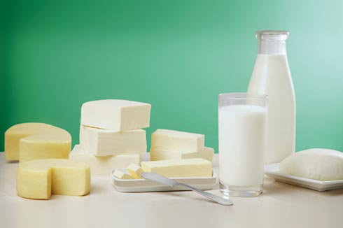 澳洲进口奶牛 乳制品 生产加工投资选址项目
